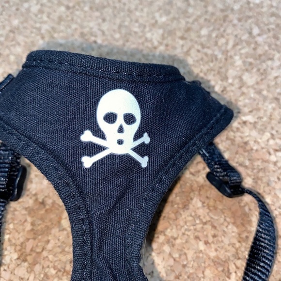 Kitty‎ harness & leash set black white zebra skull crossbones cat - Picture 3 of 4